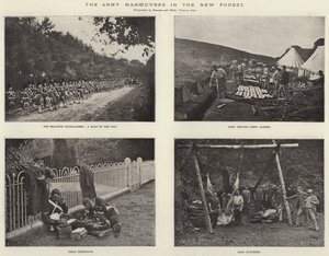 新しい森での軍の作戦 作： English Photographer