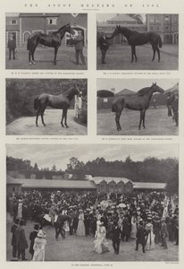 1901年のアスコット会議