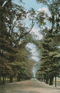 ブロードウォーク 作： English Photographer