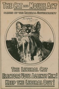 猫とマウスの行為 作： English Photographer
