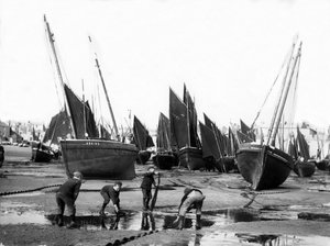 セントアイブスハーバーの漁船、1880〜99年頃 作： English Photographer