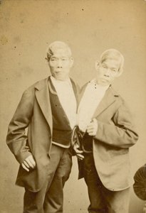 シャムの若者;写真;ロンドンのピカデリーエジプトホールに展示