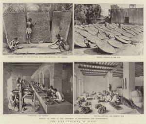 インドの絹産業 作： English Photographer