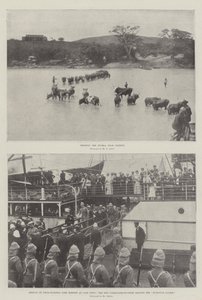 トランスバールでの戦争 作： English Photographer
