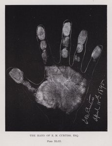 E・M・カーチスの手（モノクロ写真 作： English Photographer