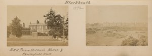 ブラックヒースの2つの画像 作： English Photographer