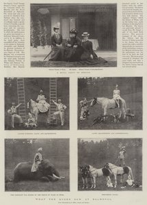 女王がバルモラルで見たもの 作： English Photographer