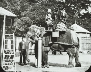 動物園、リージェンツパーク：大人と子供が乗る象、ロンドン動物園、1894