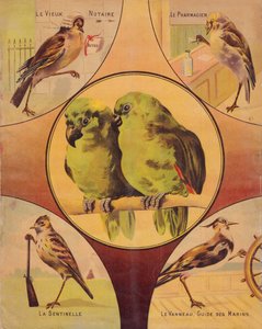 表紙4枚目 : 鳥のカップル、その他の鳥、英語 作： English School