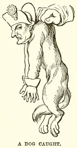 捕まった犬