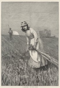A Gleaner (エングレービング) 作： English School