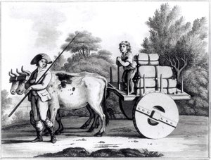 ジェームズマーフィー著、ポルトガル国の概観によるポルトガルの農場、1797年発行