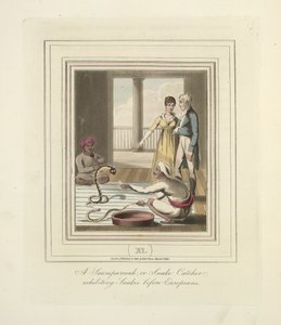 ヨーロッパ人の前でヘビを展示するサウムパリーアまたはスネークキャッチャー、1824年頃（カラーリソ）