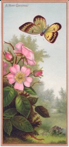 蝶と犬のバラの茂みを描いたビクトリア朝のクリスマスカード、1880年頃