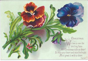 パンジーへのスプレーのビクトリア朝のクリスマスカード、1880年頃 作： English School