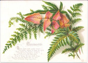 シダのスプレーが付いているビクトリア朝のクリスマスカード、c.1880 作： English School