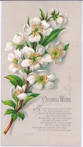 1880年頃、クリスマスバラと詩のスプレーが入ったビクトリア朝のクリスマスカード 作： English School