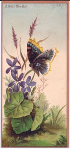 スミレと蝶のビクトリア朝の年賀状、1880年頃 作： English School