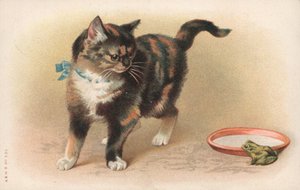 カエルを見ている猫 作： English School