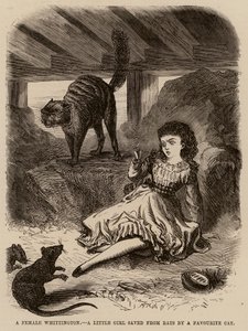 お気に入りの猫にネズミから救われた少女、ウィッティントンのメス（エングレーヴィング） 作： English School