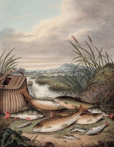 A good days fishing (Colored engraving) 作： English School