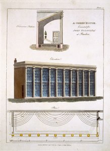 1806年、ロンドンのピムリコにあるジョンエリオットの温室