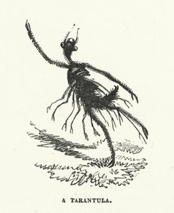 タランチュラ（彫刻 作： English School