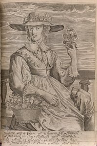 花を持った女性、ジョン・デイヴィス卿による「天使と男性以外の仕事」のイラスト、1653年に印刷（リソ） 作： English School