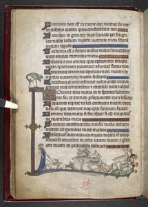 MS 24686、f.13v 部分的な境界線を形成する辺縁拡張を伴う詩篇、c.1284-1316 (ベラム) を追加 作： English School