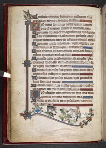 MS 24686、f.14v、ハヤブサ狩りのアヒルとポニーに乗った少年、c.1284-1316 (ベラム) を追加 作： English School