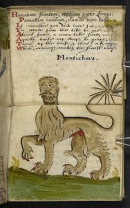 MS 57312 f.11 ゲームブックを追加 (ベラム紙にインクとカラー) 作： English School
