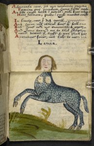 MS 57312 f.13 ゲームブックを追加 (ベラム紙にインクとカラー) 作： English School
