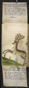 MS 57312 f.15 ゲームブックを追加 (ベラムにインクとカラー)