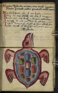 MS 57312 f.5 ゲームブックを追加 (ベラム紙にインクとカラー) 作： English School