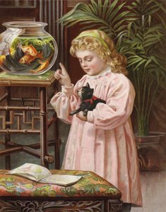 賞賛するが、タッチしない 作： English School