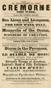1848年にロンドンのクレモーンガーデンでアシカとライオネスが登場したことを宣伝する 作： English School