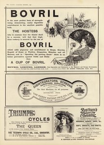 The Graphic Christmas Number 1897から宣伝された広告 作： English School