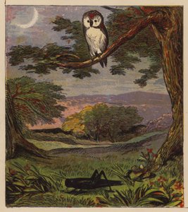 イソップ物語: フクロウとバッタ (カラー リソ) 作： English School
