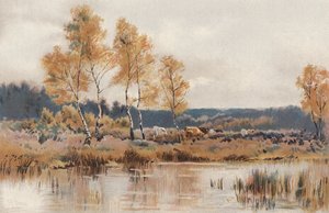10月の厳しい霜の後（クロモリソ） 作： English School