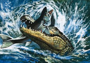 ワニが魚を食べる 作： English School