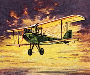 ジェイソンと呼ばれるジプシーMOthのエイミージョンソン 作： English School