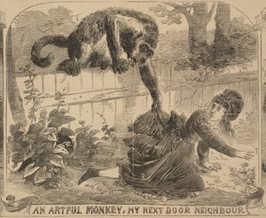 「Artful Monkey, My Next Door Neighbour」、「Illustrated Police News」のイラスト、1872 年 8 月 24 日 (litho) 作： English School