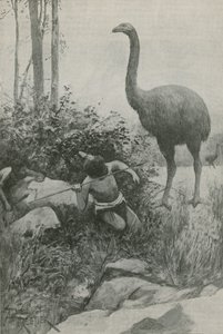ニュージーランドの絶滅した住民 作： English School