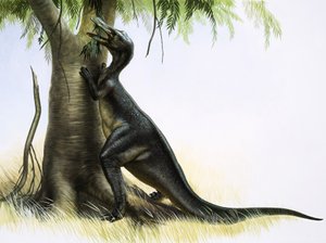 アナトサウルス