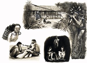 世界の古代民族：ボルネオのブローパイプハンター 作： English School