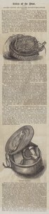 公文書館にある古代のスキペットとハナパー（刻印 作： English School