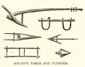 古代のYokes and Ploughs（エングレービング 作： English School