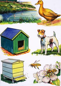 動物とその家 作： English School