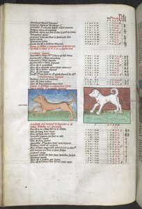Arundel MS 66 f.44v Canis maior and Canis minor 犬として描かれた「プトレマイオス、アルマゲストから抽出された星のカタログ...」占星術の編集と政治的予言 作： English School