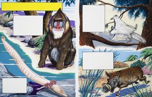 各種動物 作： English School